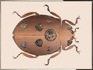 Панно Beetle B Visionnaire