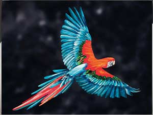 Панно Parrot Visionnaire